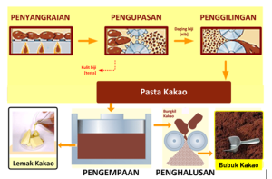 Read more about the article Proses Pembuatan Cokelat dari Biji Kakao hingga Menjadi Bar: Perjalanan Rasa dalam Setiap Tahap