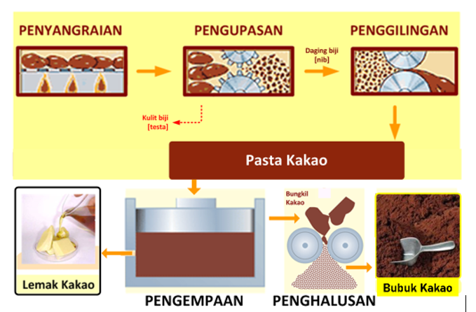Read more about the article Proses Pembuatan Cokelat dari Biji Kakao hingga Menjadi Bar: Perjalanan Rasa dalam Setiap Tahap