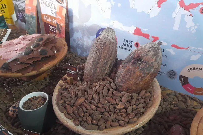 Read more about the article Kolaborasi UMKM Cokelat dengan Petani Kakao untuk Membangun Kemitraan Berkelanjutan